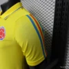 Version 2026 Colombia Yellow POLO Jersey