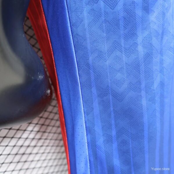Version 26-27 FC Barcelona Royal Blue & Garnet Red Vertical Stripes Special Edition Jersey