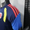Version 2026 Colombia BLue Special Jersey