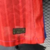 Version 26-27 FC Barcelona Royal Blue & Garnet Red Vertical Stripes Special Edition Jersey