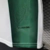 Version 2026 Mexico Green-White Special Jersey
