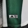 Version 2026 Mexico Green-White Special Jersey