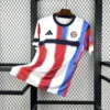 Mens Bayern Munich Pre-Match Jersey