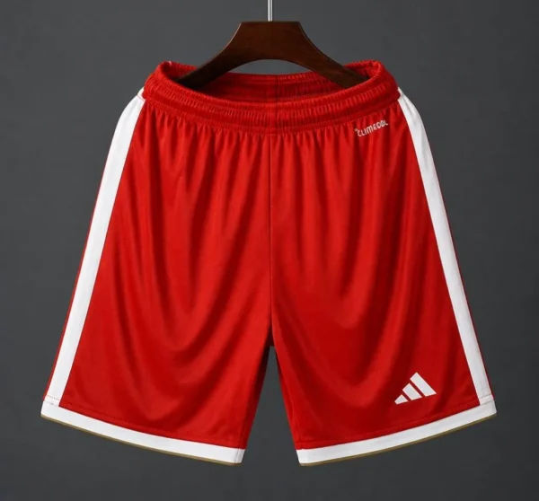 1 Bayern Munich Shorts 2026-2027