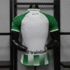 10 Real Betis Jersey Home 2026-2027