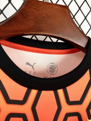 Mens PSV Eindhoven Special Jersey(1)