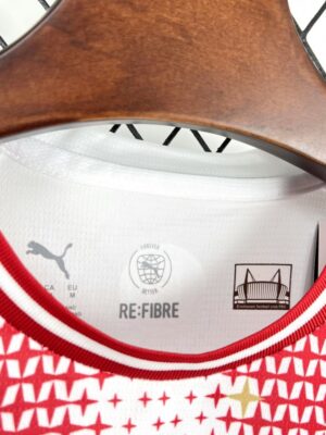 Mens PSV Eindhoven Special Jersey