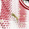 Mens PSV Eindhoven Special Jersey