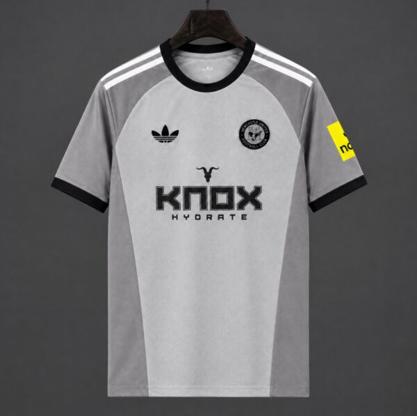 Newcastle United Goalkeeper 3 Grey Jersey