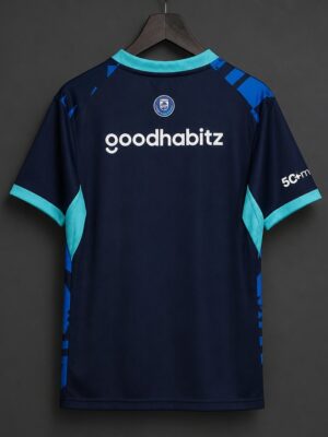 PSV Eindhoven Third Jersey
