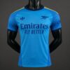 Version 26-27 Arsenal Away Goalkeeper Blue Jersey