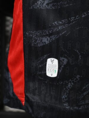Version 26-27 Crystal Palace FC Away Black Jersey